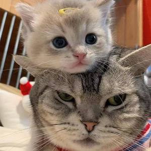 男生插女生阴道网站入口
